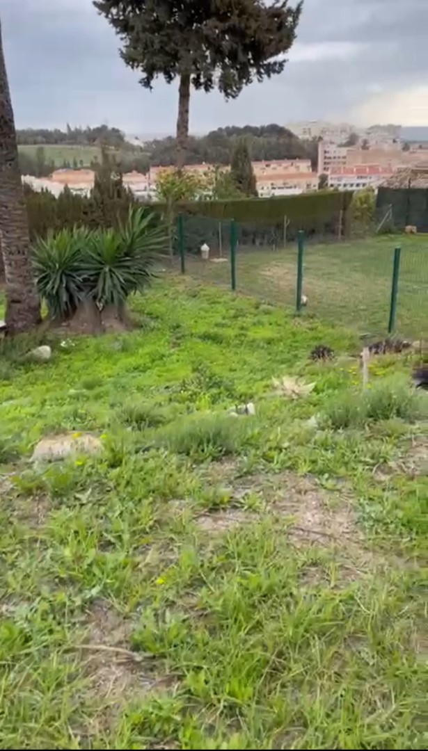 Hermosa parcela con vistas al mar y proyecto aprobado en Torremuelle!