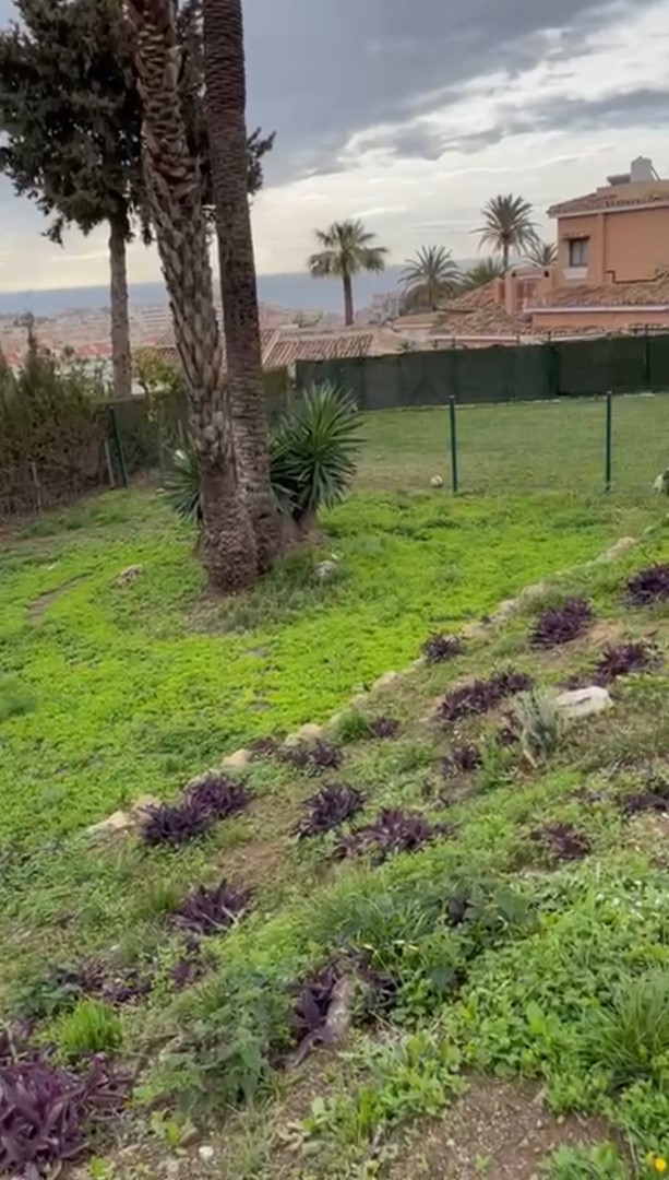 Hermosa parcela con vistas al mar y proyecto aprobado en Torremuelle!