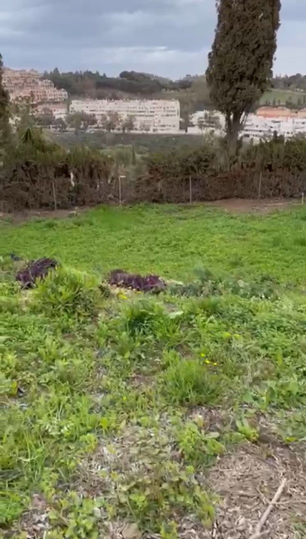 Hermosa parcela con vistas al mar y proyecto aprobado en Torremuelle!